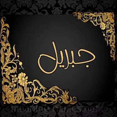 CidJibrile's profile picture. Néant