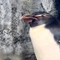 メッキアジ (@mekkiaji) Twitter profile photo