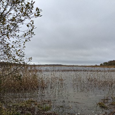 A programme aimed at helping Mayo residents to investigate their local streams, lakes, shorelines and wetlands and to develop water-related projects.