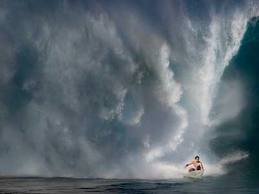 AMaroonCrusader's profile picture. Titans, Maroons, Reds & anything QLD. Proud member of Team @marooncrusade & @TheRooCrew. Failed rugby player - just find me in the surf