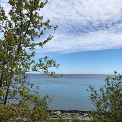 bestregards_kb's profile picture. 