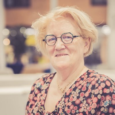 Ervaring in lokale politiek: raadslid, wethouder, nu fractievoorzitter @vvdwaadhoeke. Ruim 30 jaar gewerkt in basisonderwijs.