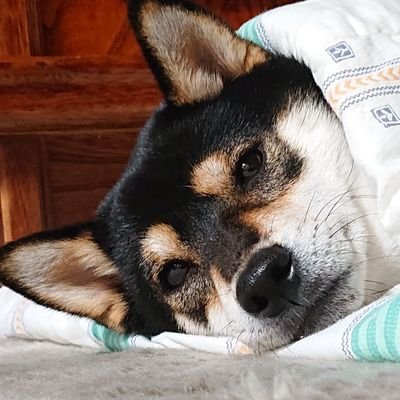 Y37RjTXBWQy0J0f's profile picture. 