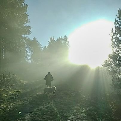 Perdónate la vida todos los días hasta que te sientas mejor.