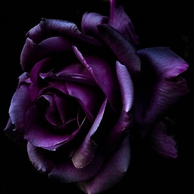 mama__capalot's profile picture. 𝐿𝑎𝑦 𝐿𝑜𝑤🤫𝐵𝑜𝑠𝑠 𝑈𝑝💸𝐹𝑎𝑐𝑒 𝑂𝑓𝑓🎭~𝑋0𝑁3𝐷0𝑈𝑇💔☁️