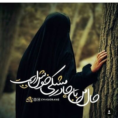 alamotian63's profile picture. بانوی پاییز