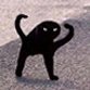 klompiさんのプロフィール画像