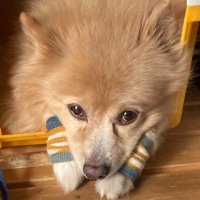 スミス (@summmiky) 's Twitter Profile