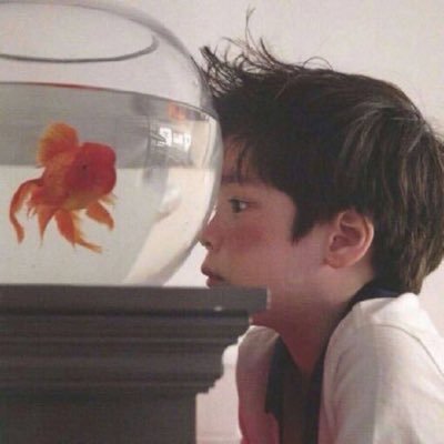 mabowen4's profile picture. nothing