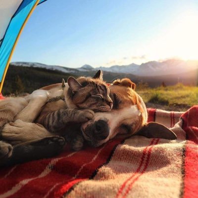 fabout99's profile picture. Je m’engage à être heureux toute ma vie / pseudo juriste made in Lyon 3 University…