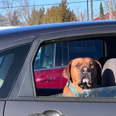 Anthony34907622's profile picture. Republican in a Liberal State. Trying to fix the Nation One Vote at a Time