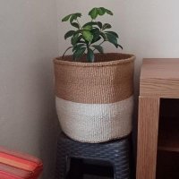Schon baskets kenya (@aleky90) 's Twitter Profile