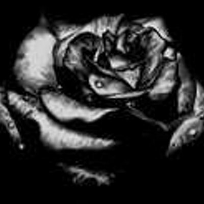 smartkookie15's profile image