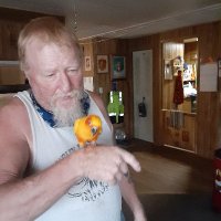 Wulfman62 (@jimmykeppler11) 's Twitter Profile