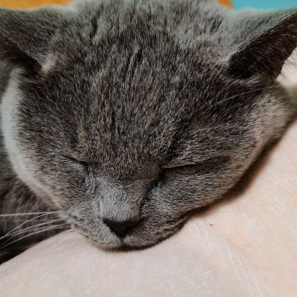 miao40011228's profile picture. 