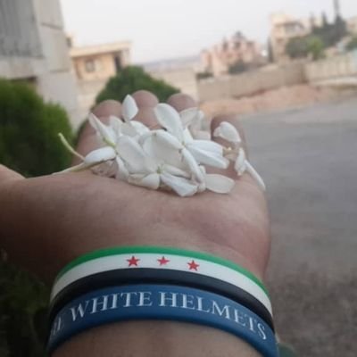 I'm just a human being that  cares
Against Corruption and Dictators
My TL is Graphic and I make no apology. The World needs to know what is happening in Syria.