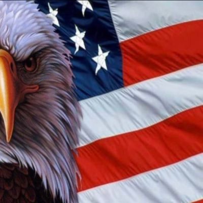 Ichigo06745835's profile picture. Murica