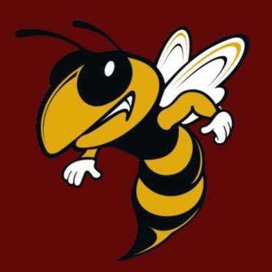 wrladyhornets Profile Picture