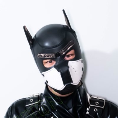 🏳️🌈🔞🇨🇦 | 24 | Fully Vaccinated | DM Open Gear+bondage pup. Partnered with @ThePupBraid, but open to adventures! Recon: PupNewton EN/中文