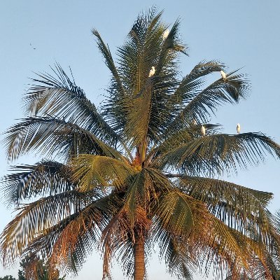 ashwinashoka's profile picture. Navodayan, ಭಾರತೀಯ, ಕನ್ನಡಿಗ