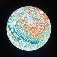 smplcryp (@smplcryp) 's Twitter Profile