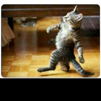 ClaraElloyse's profile picture. Minha  simpatia 😍