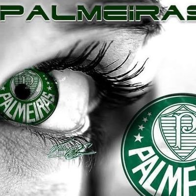 Edilama86467617's profile picture. PALMEIRENSE E MÃE DE PALMEIRENSES
💚💚💚🐷🐷🐷