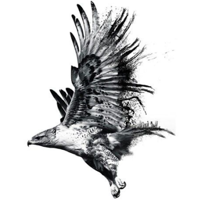 DanielN44567802's profile picture. Danielgo