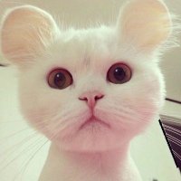 Interesting Channel (@channelinteres) 's Twitter Profile Photo