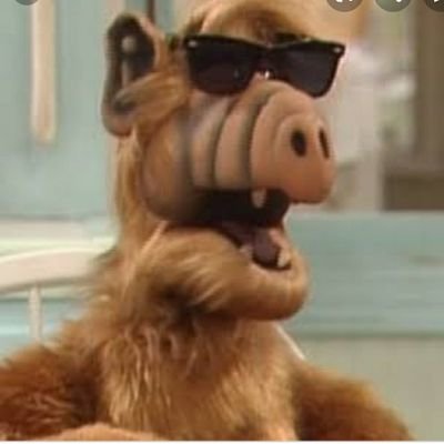 SimpleP99479087's profile picture. Anti López 
Con todo para sacar a Morena del poder. 
Un resentido e ignorante NO debe tener poder.