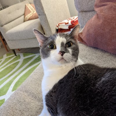 Software engineer, cat mom
She/her
https://t.co/OmnEQ63Bzw