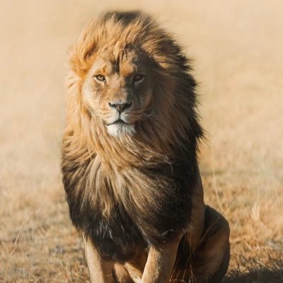 cumletmeshowyou's profile picture. 