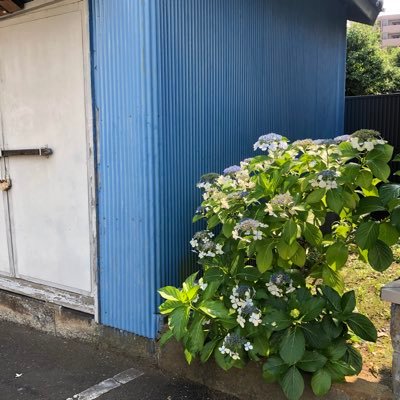 tukitukikaruta's profile picture. 