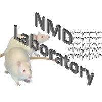 NMD Lab (@labnmd) 's Twitter Profile