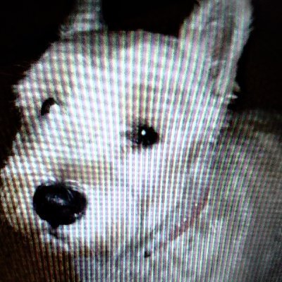 munmun2nd's profile picture. 