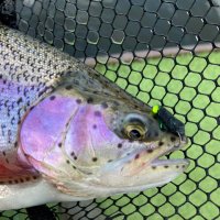 Suffolk Fly Fisher's Club (@suffolkflyfish) 's Twitter Profile