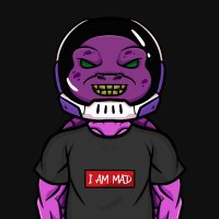 Mad Gang (@madturtlesgang) 's Twitter Profile Photo