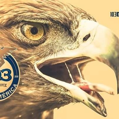 Forever Águila 💛💙