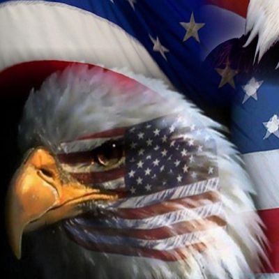 Writer, photographer, weather geek. Constitutional Conservative. Born & raised WI boy. Reside in NC. All liberty is individual liberty. #Patriot 🗽 🇺🇲