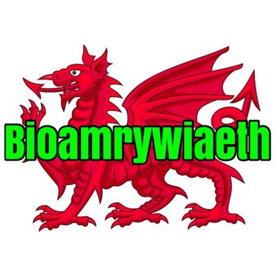 BIOAMRYWIAETH Profile