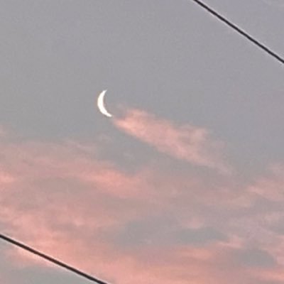 せっぴさんのプロフィール画像