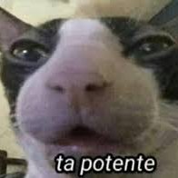 MasakiOficial's profile picture. .