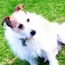 linda stewart (@slinda55555) Twitter profile photo linda stewart (@slinda55555) Twitter profile photo