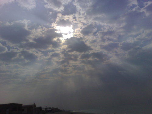 hassaanwaqar's profile picture. 