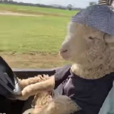 27_Rodriguez7's profile picture. 