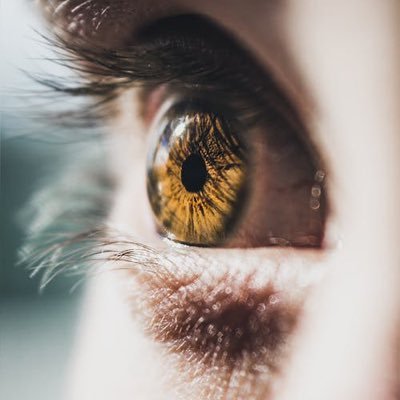 DennisIzayah's profile picture. Not all girls are made of sugar and spice, and everything nice. Some are made of sarcasm, wine and everything