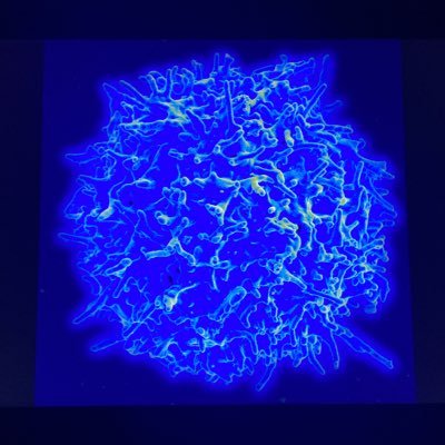 Immunomodulation Laboratory Profile