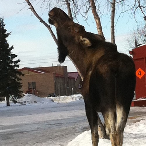 mpolleys73's profile picture. 