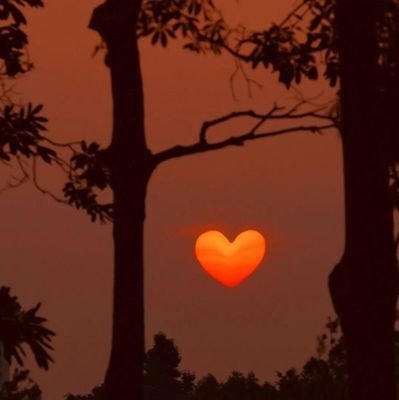 flysea007's profile picture. 111