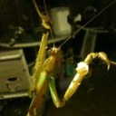 Mike Minton - @SciGuyMike - Twitter